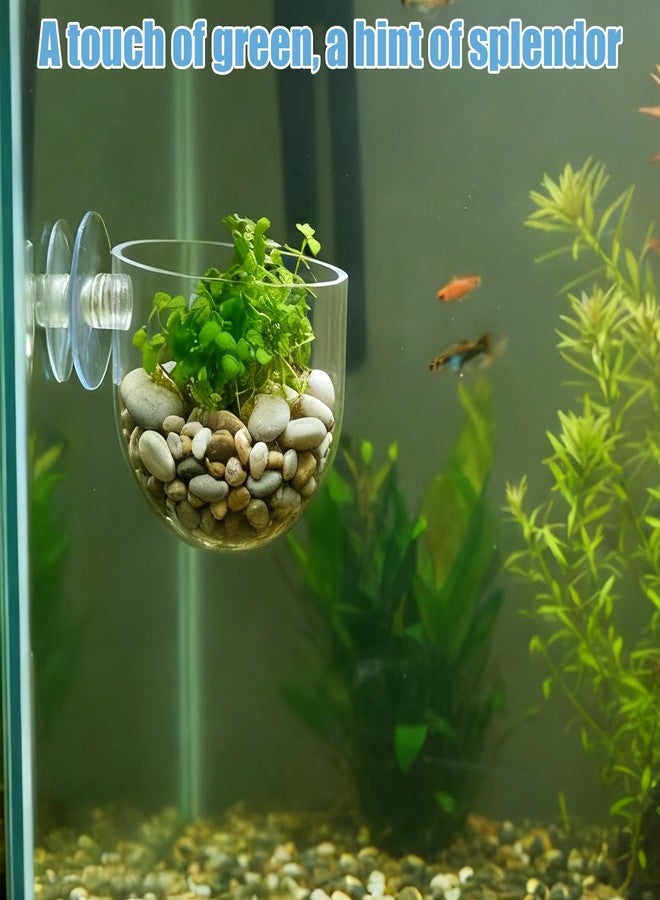 Eldraqth 3 Pack Aquarium Plant Holder Clear Fish Tank Plant Holder Fishes Tanks Plants Pot Acrylic Aquarium Planter Cup with Suction Cups for Home Aquariums Aquascape Decor, Red Worm Fish Shrimp Feeder - Image 2